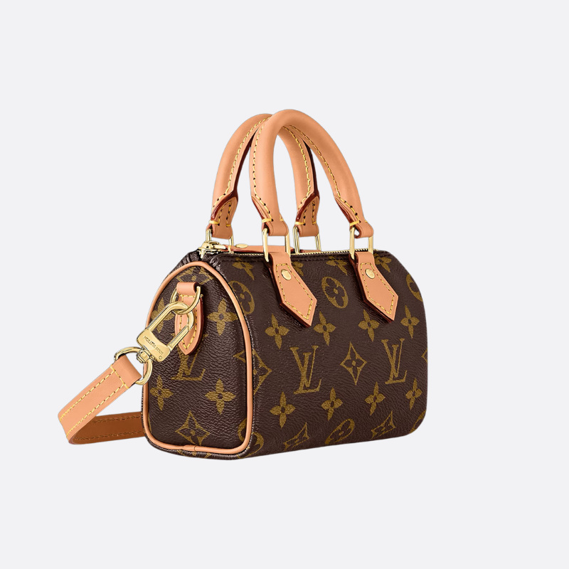Louis Vuitton Borsa Speedy Nano