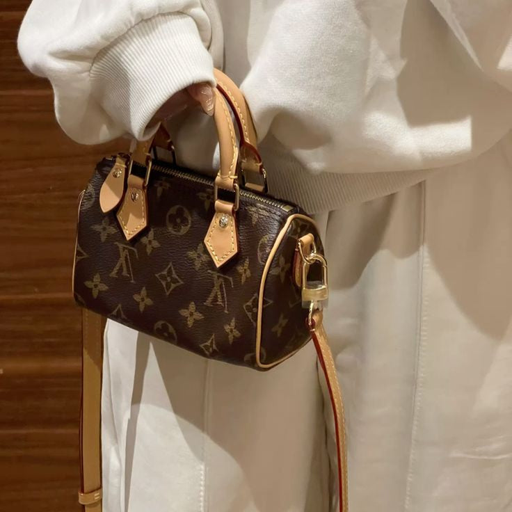 Louis Vuitton Borsa Speedy Nano